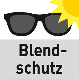 Schutzbrille getönt